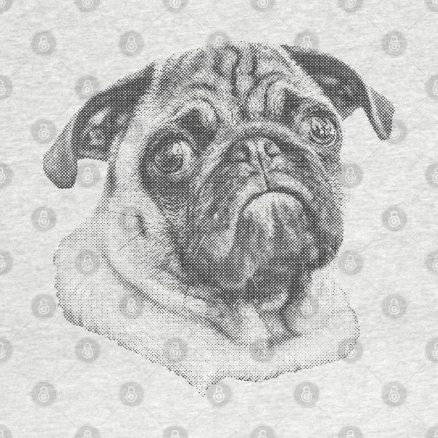 Pug (Black) by splode